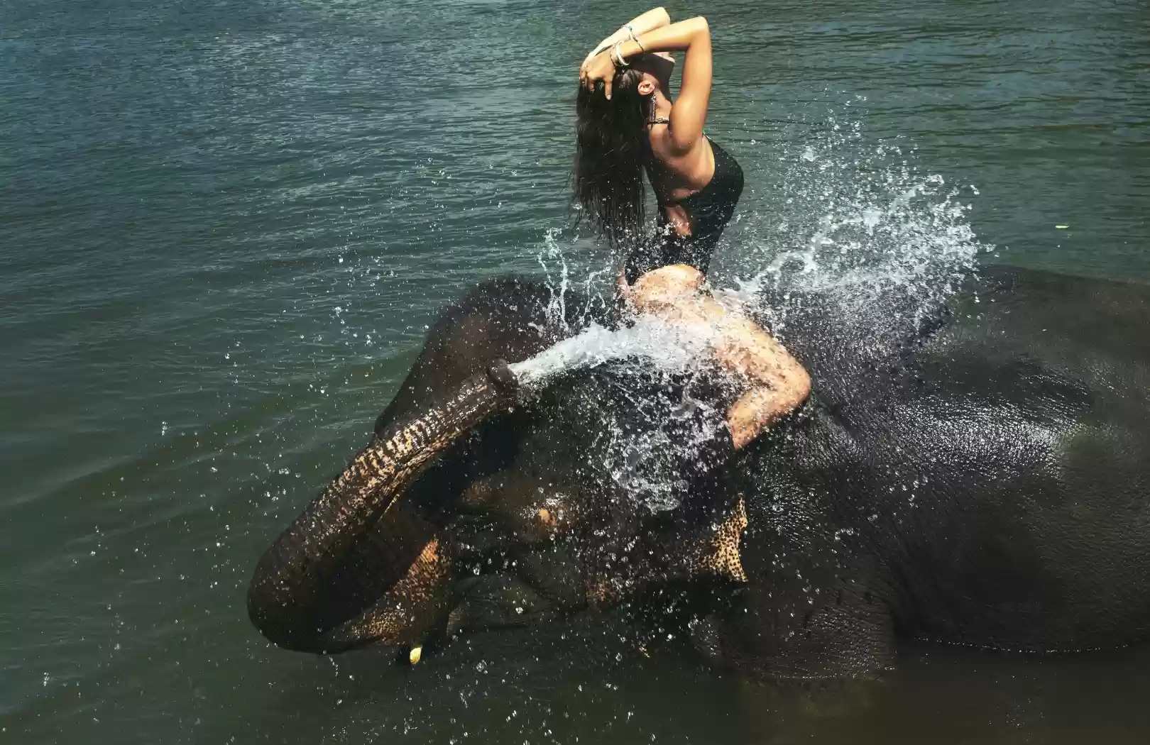 Taro Elephant Wash With Private Transfers