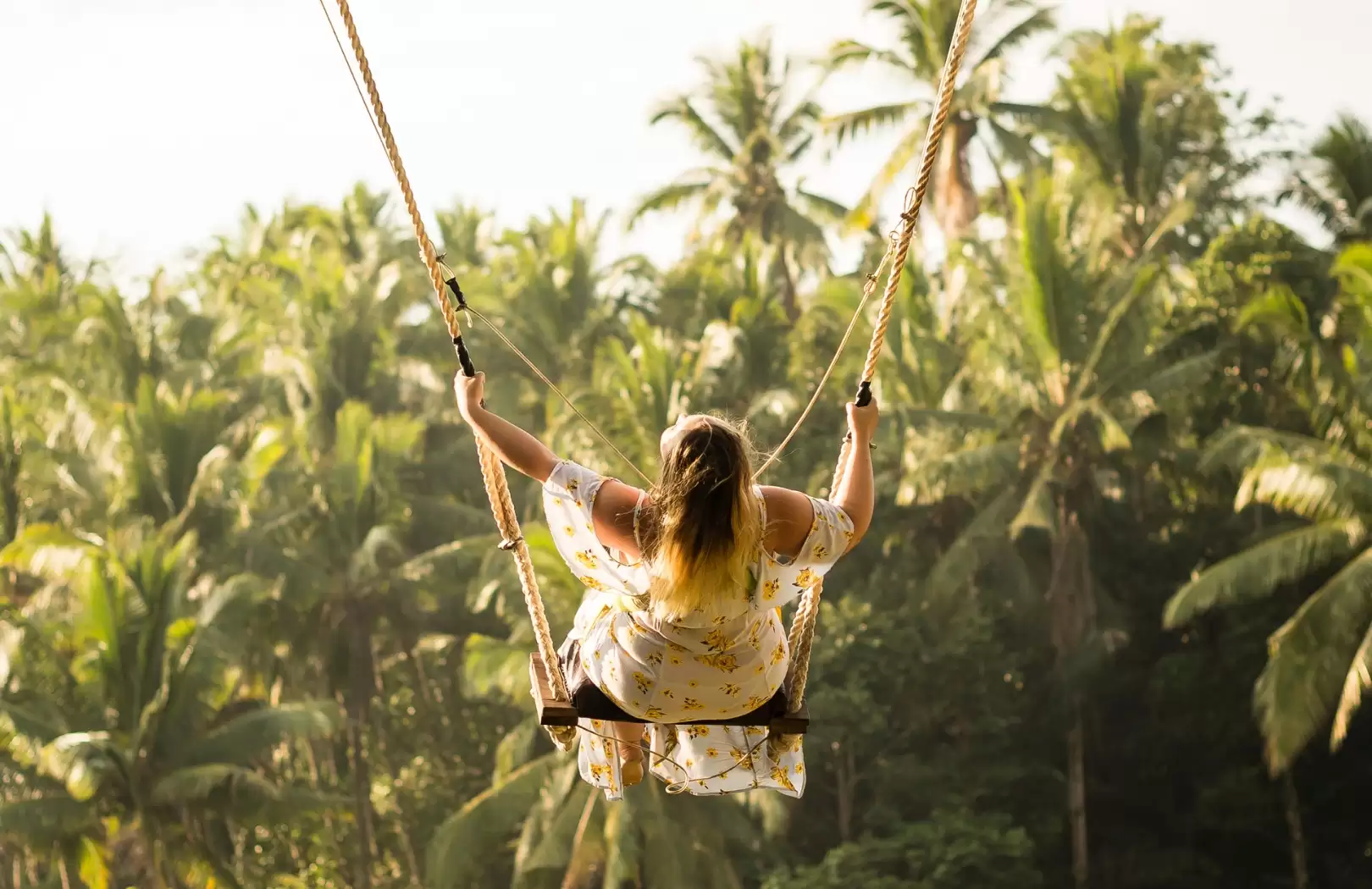 Ubud Full Day With Bali Swing Tour