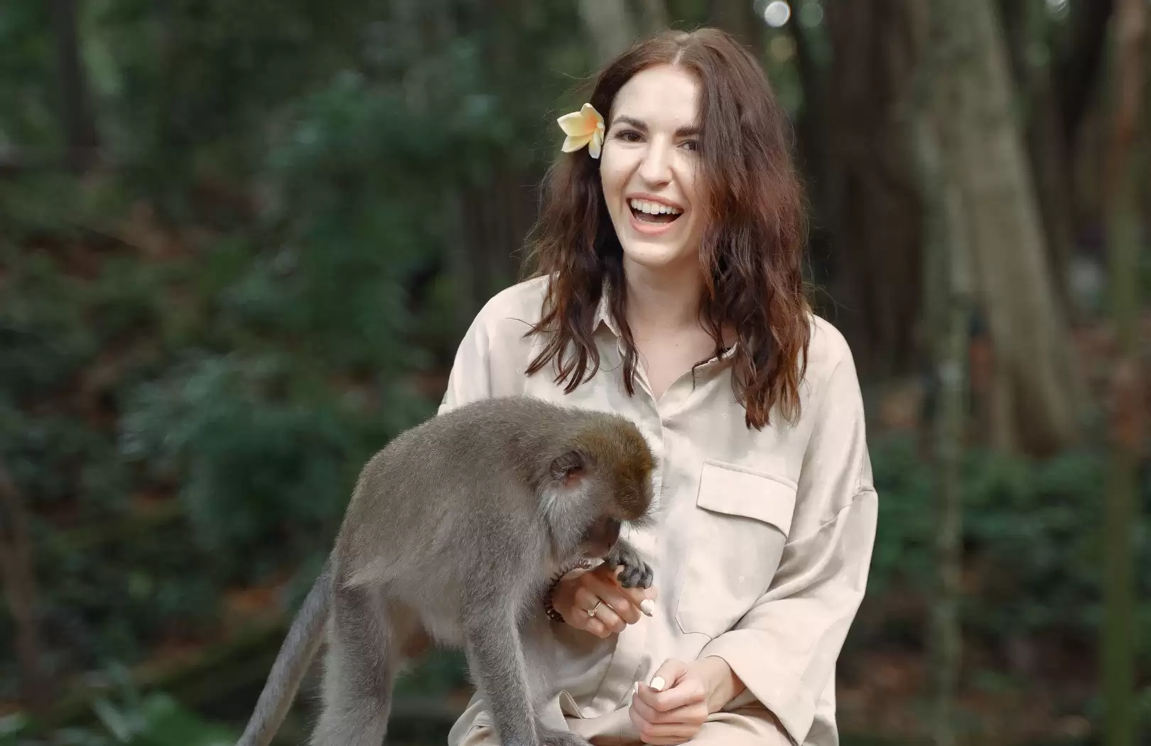 Ubud Monkey Forest And Elephant Sanctuary Tour